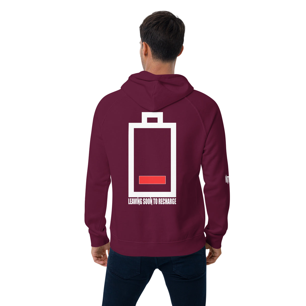 Introvert Unisex eco raglan hoodie
