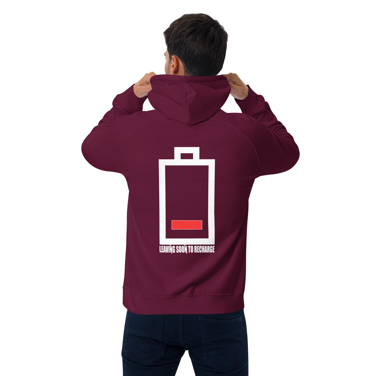 Introvert Unisex eco raglan hoodie