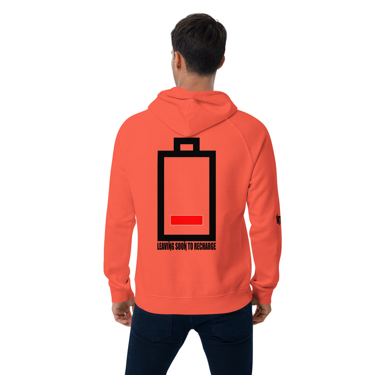 Introvert Unisex eco raglan hoodie