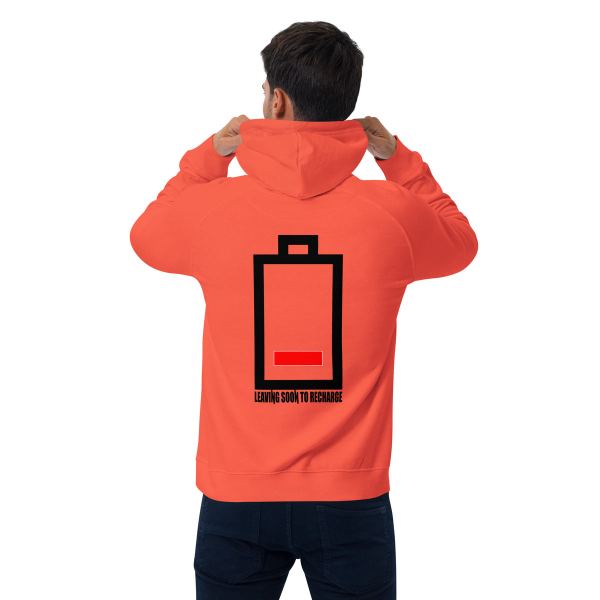 Introvert Unisex eco raglan hoodie