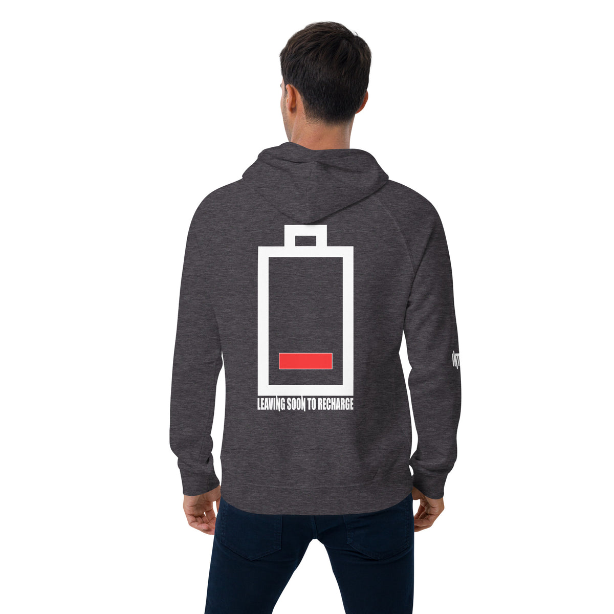 Introvert Unisex eco raglan hoodie