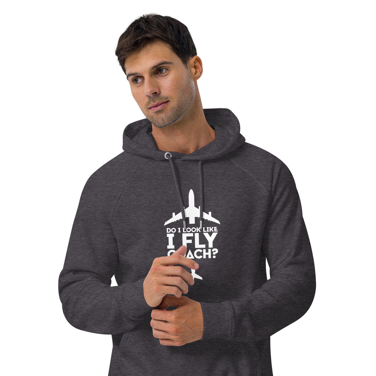 Do I Look Like I Fly Coach? Hoodie