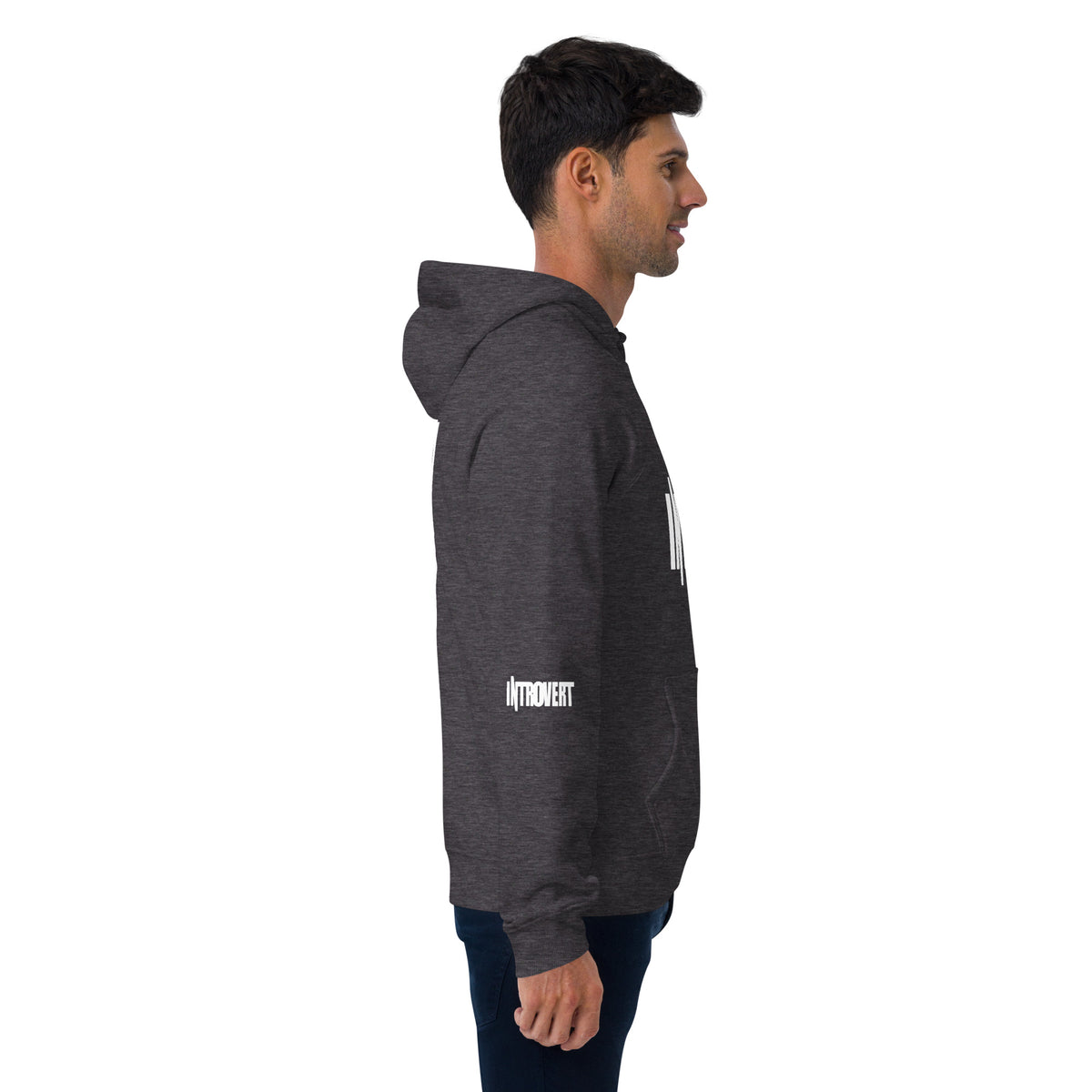 Introvert Unisex eco raglan hoodie