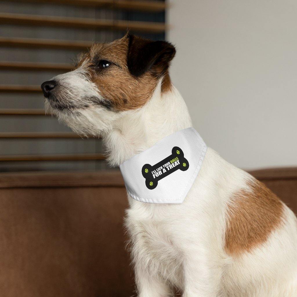 Pet Bandana Collar, Balls - Lighten Up a Little 