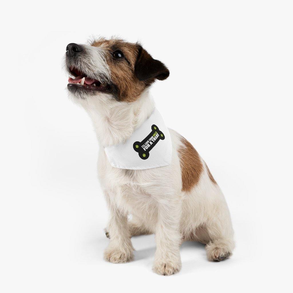 Pet Bandana Collar, Balls - Lighten Up a Little 