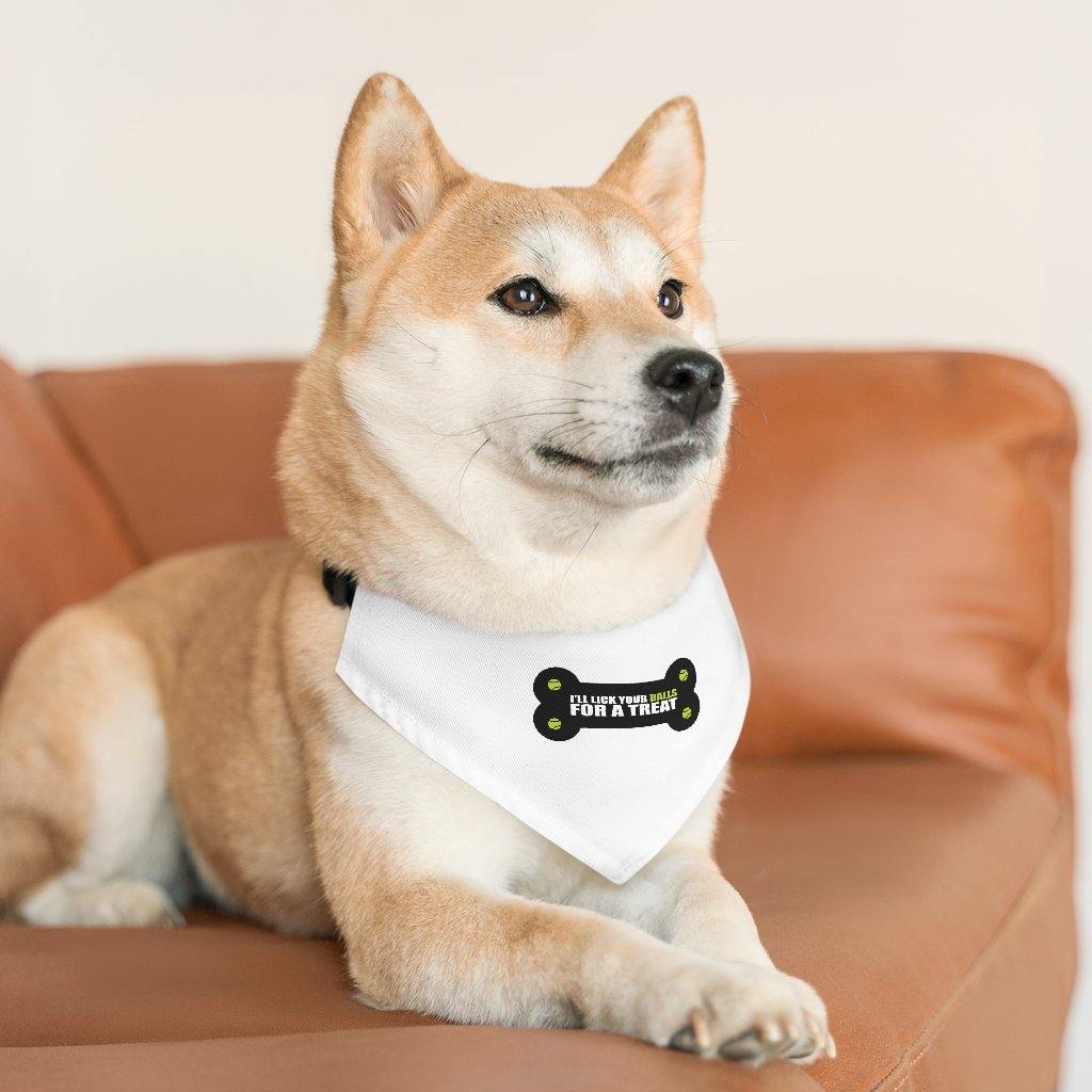Pet Bandana Collar, Balls - Lighten Up a Little 